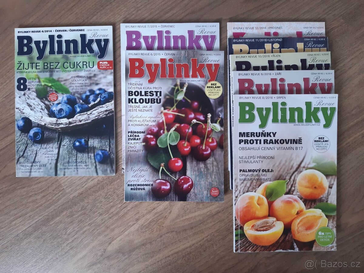Bylinky Revue