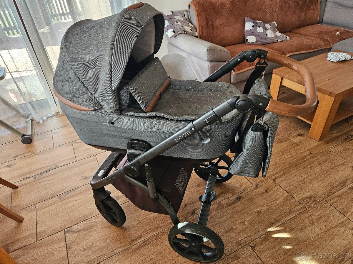 Roan Bloom black dots