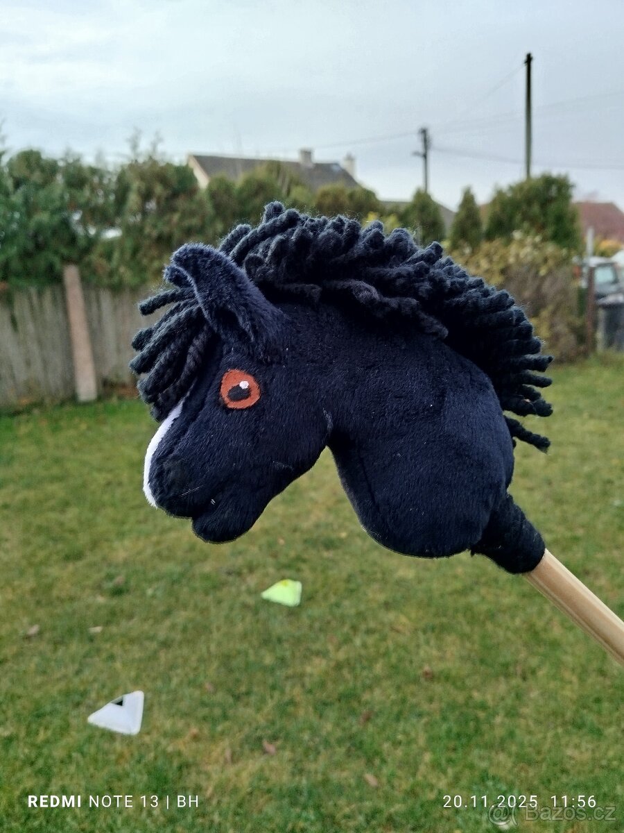 Hobby horse