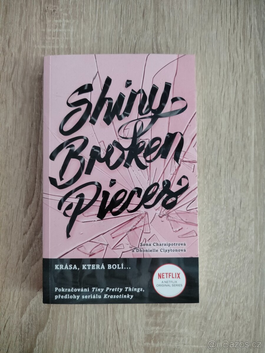 Shiny Broken Pieces - Krása, která bolí