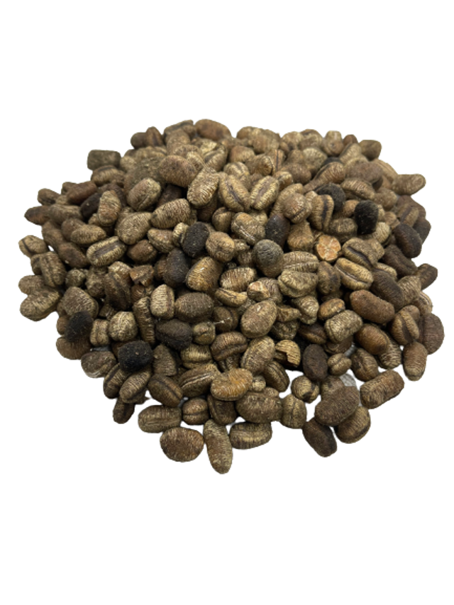 Ehuru Seeds