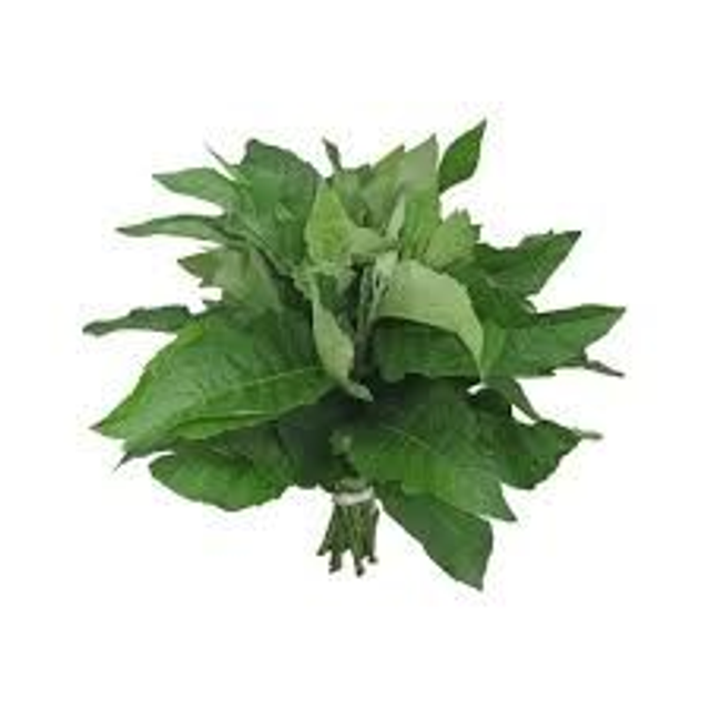 Bitterleaf