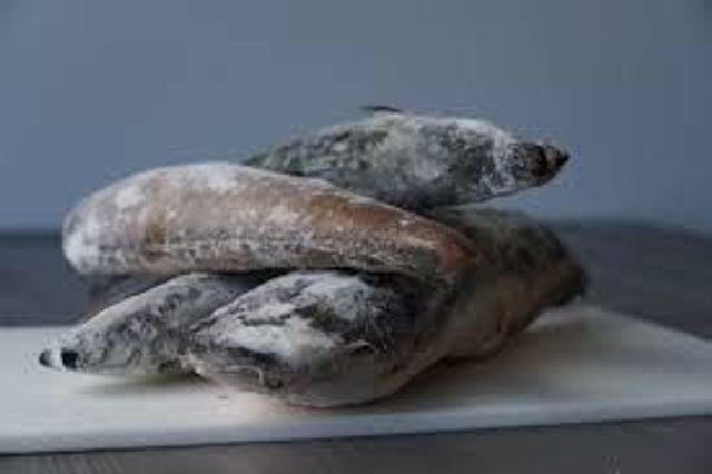 Frozen Catfish