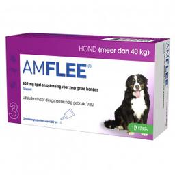 Amflee 402 mg spot-on hond XL 3 x 6 pipetten