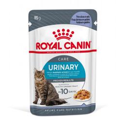 Royal Canin Urinary Care in gelei natvoer kat (85 g) 4 x (12 x 85 g)