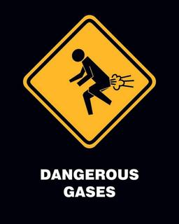 Pyramid Dangerous Gases Poster 40x50cm