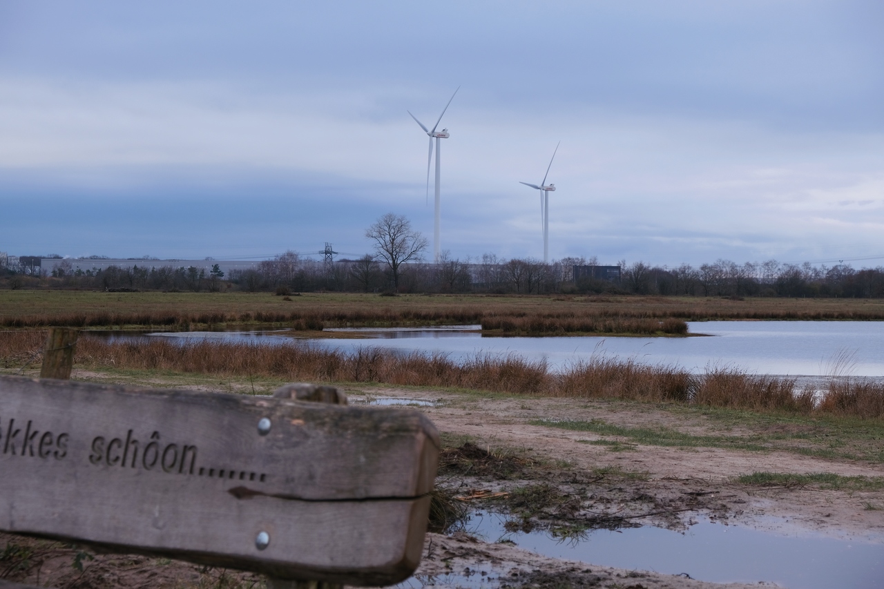 Windmills in the swampy regions of De Groote Peel
