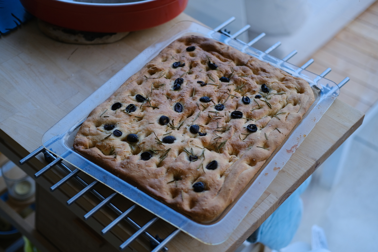 Focaccia with rosemary and olives, fresh out of the oven at my mother's kitchen in Tilburg, 2022.