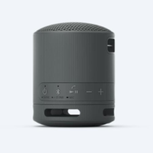 Altavoz bluetooth Sony SRSXB100B.CE7 black