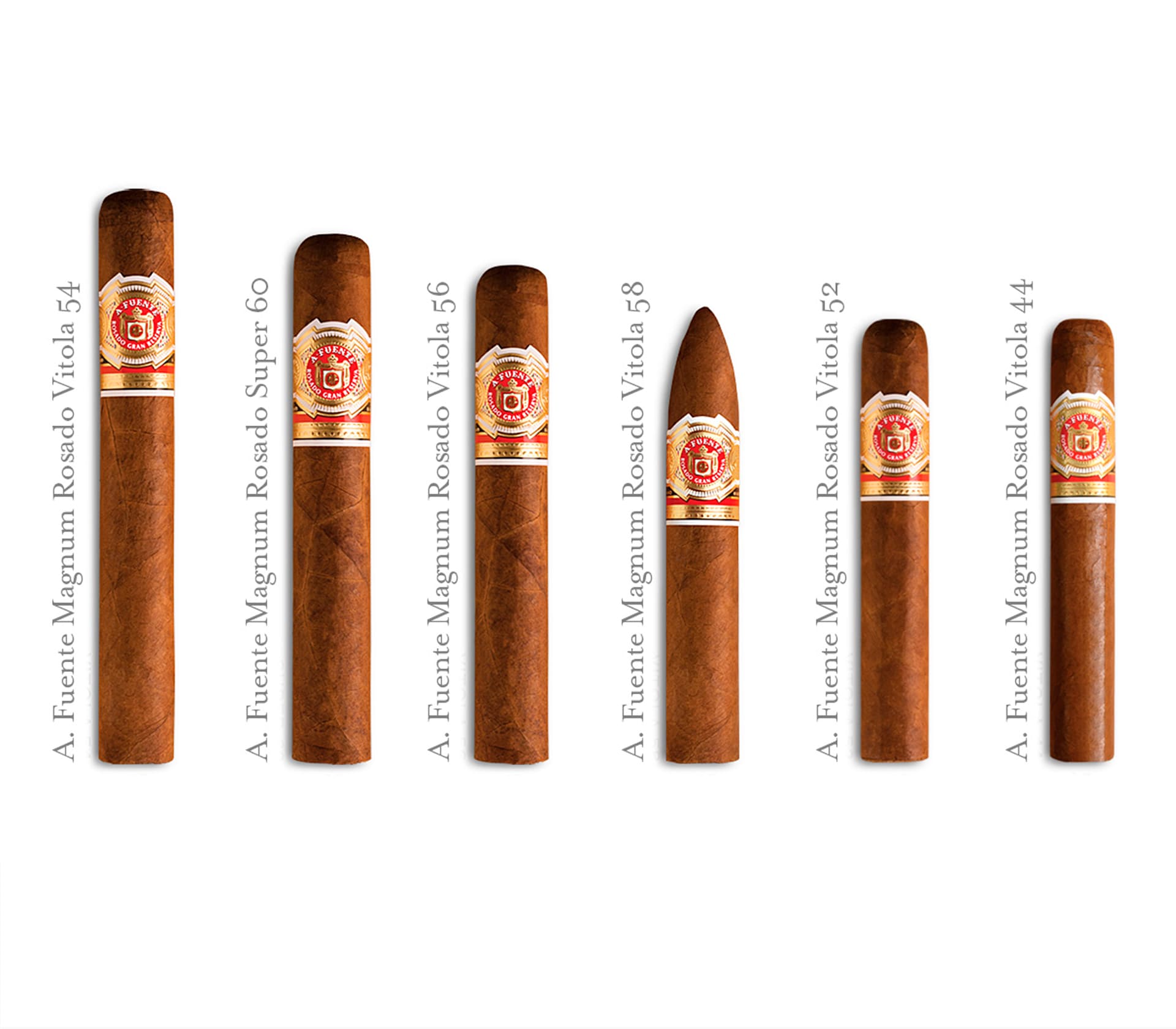 Cuban Belicoso - Unidade