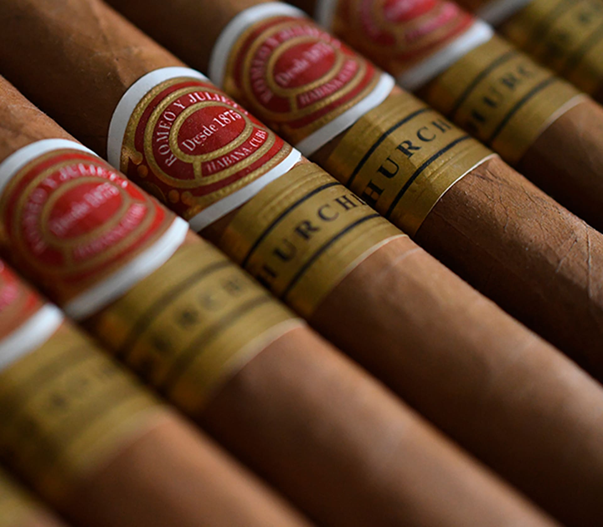 Don Carlos Robusto - Unidade