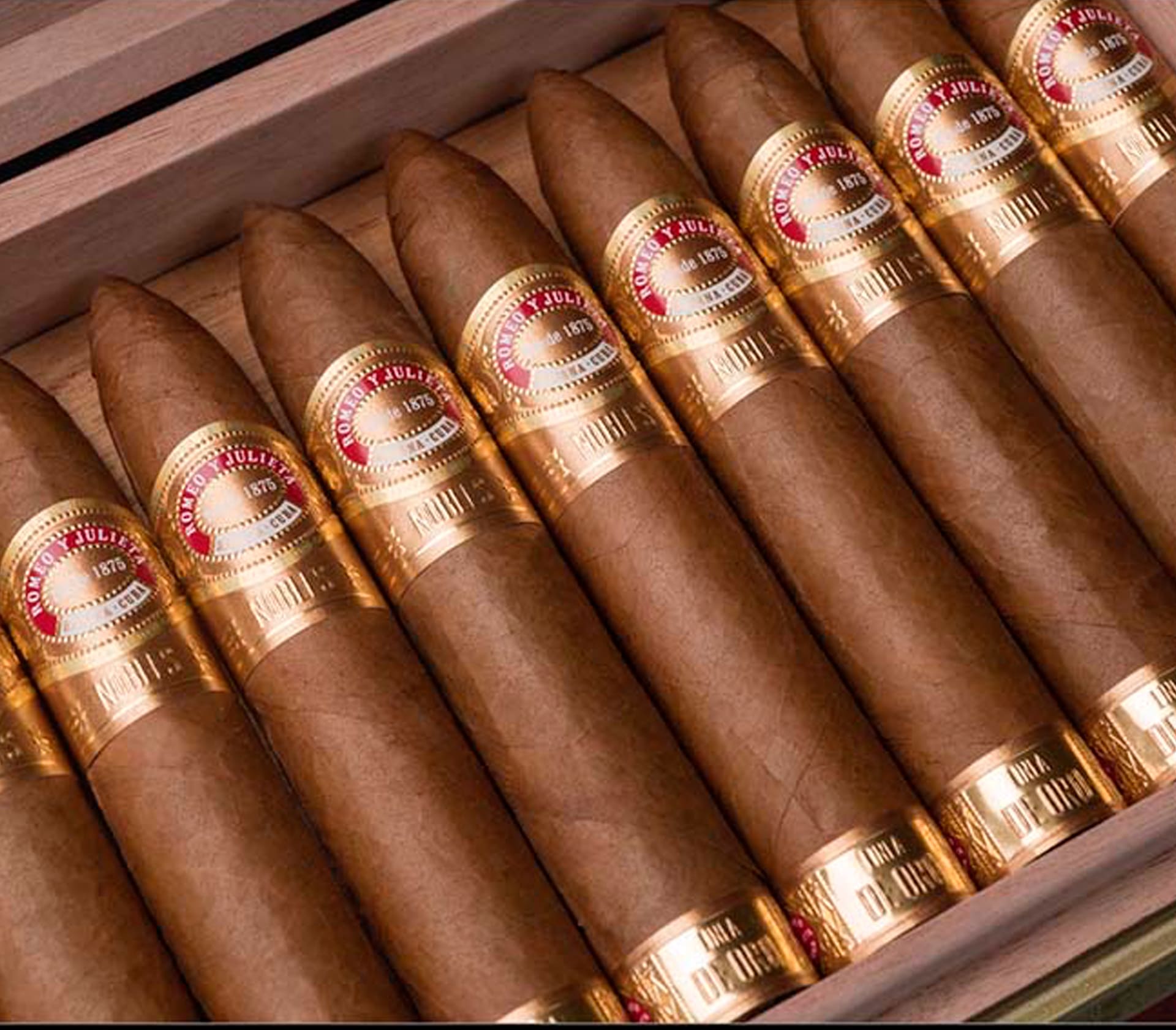 Rosado Magnum R44 - Unidade