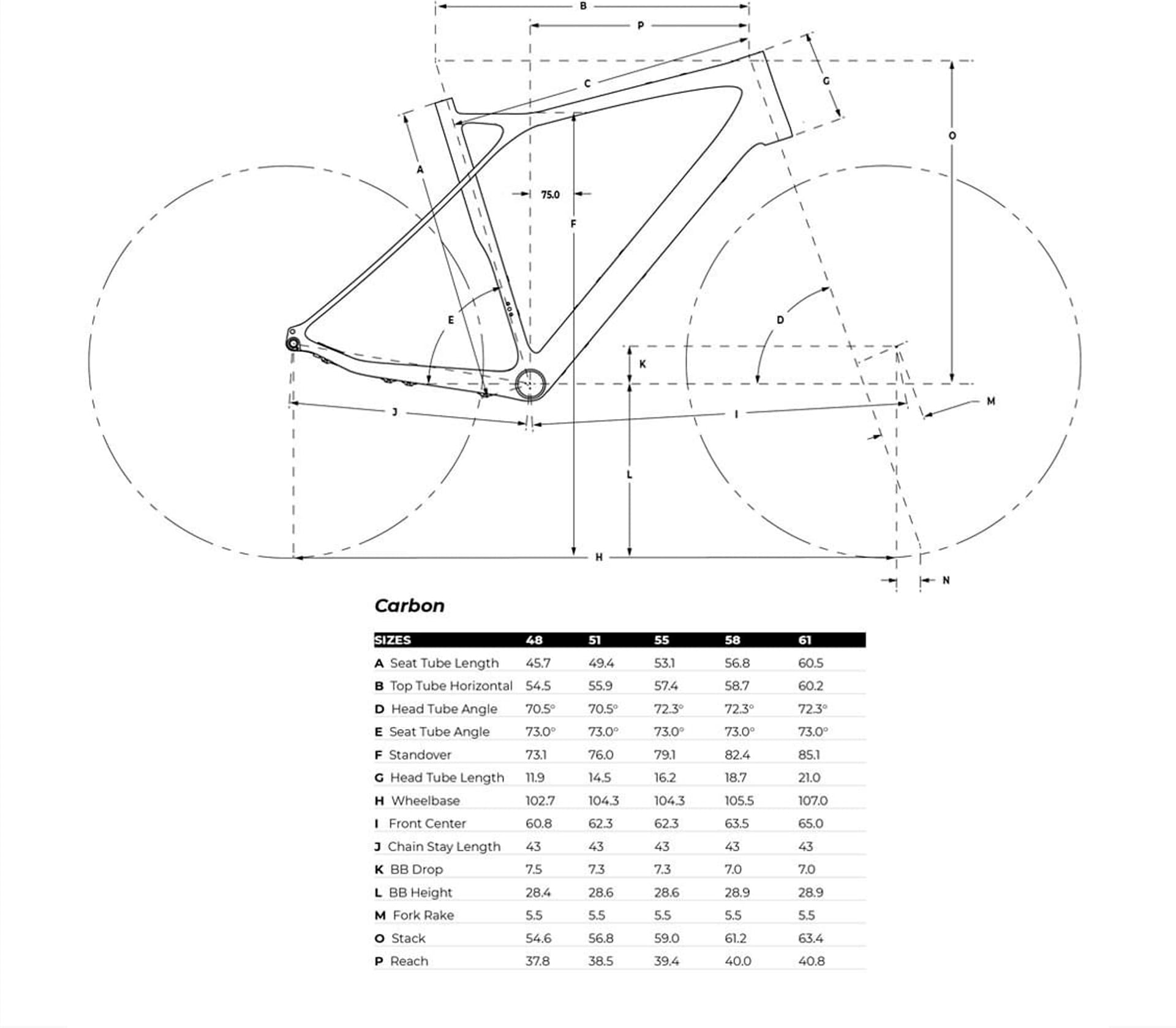 Grade Expert Carbon