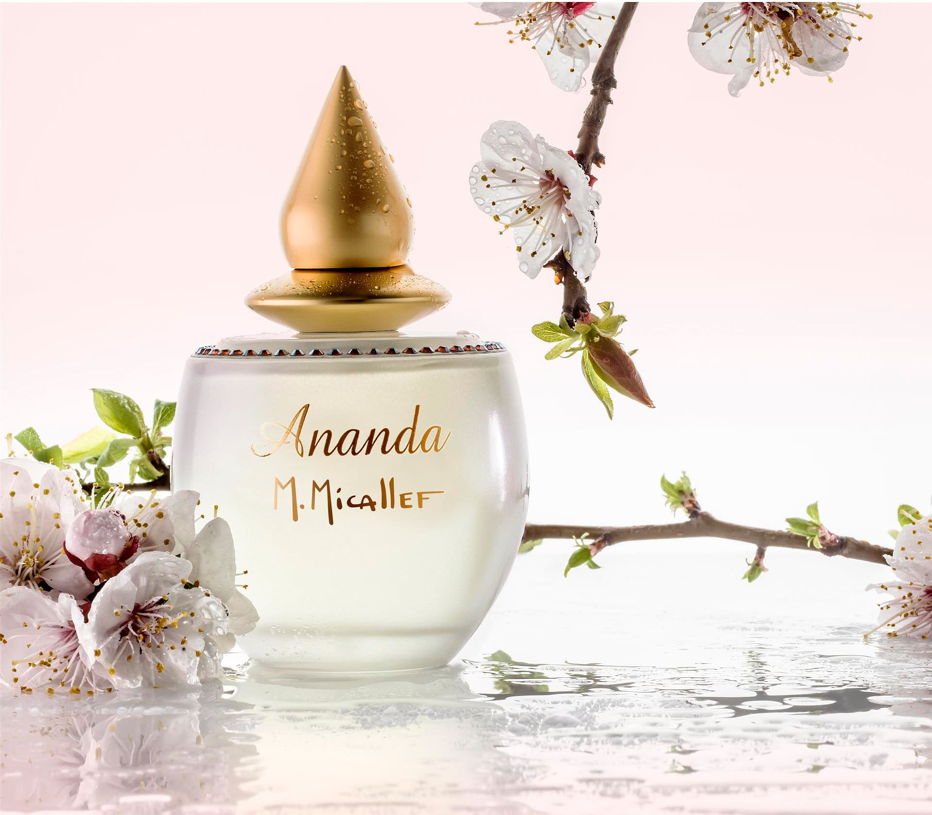 Ananda - 100ml