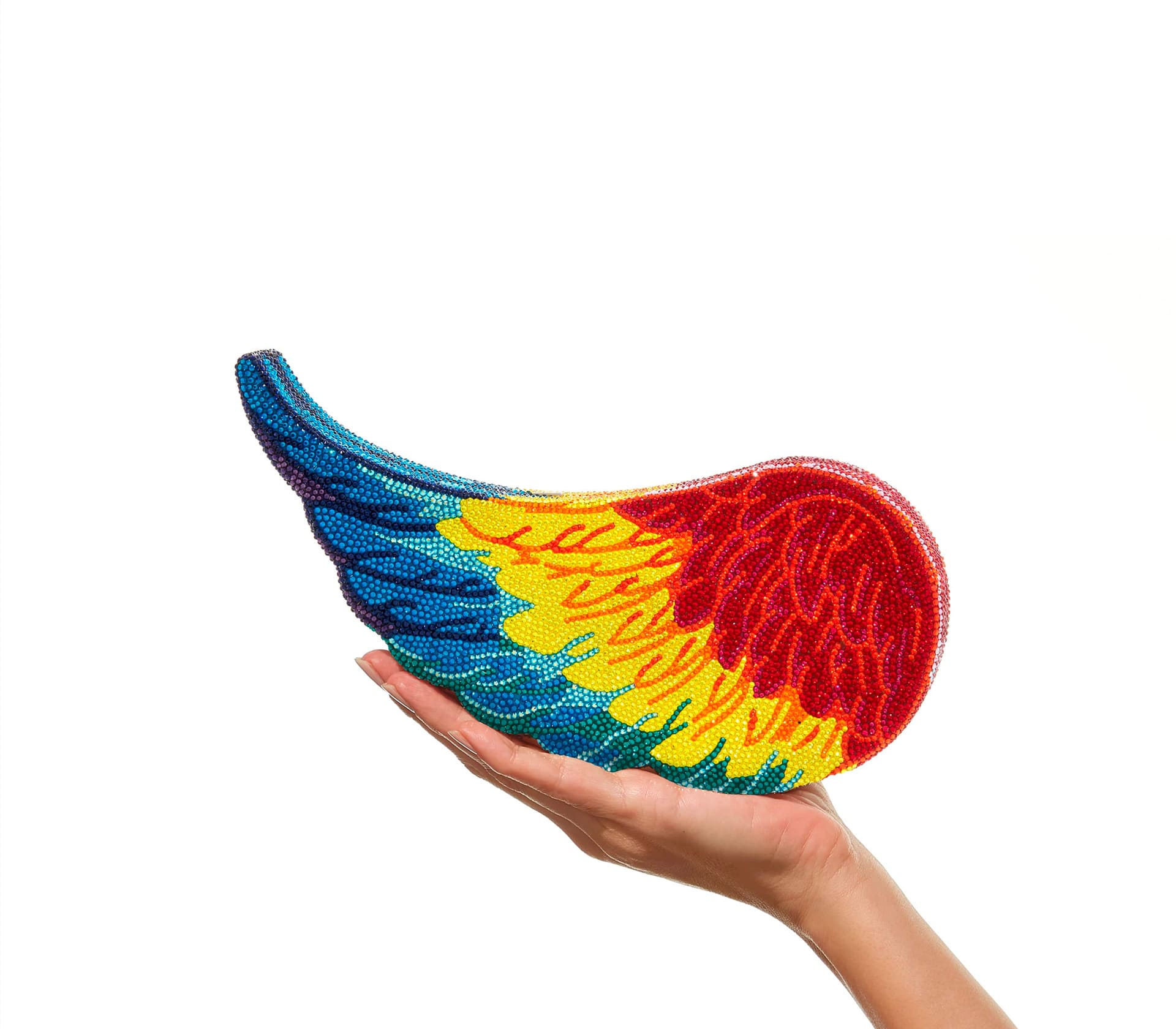 Wing Macaw Colorida
