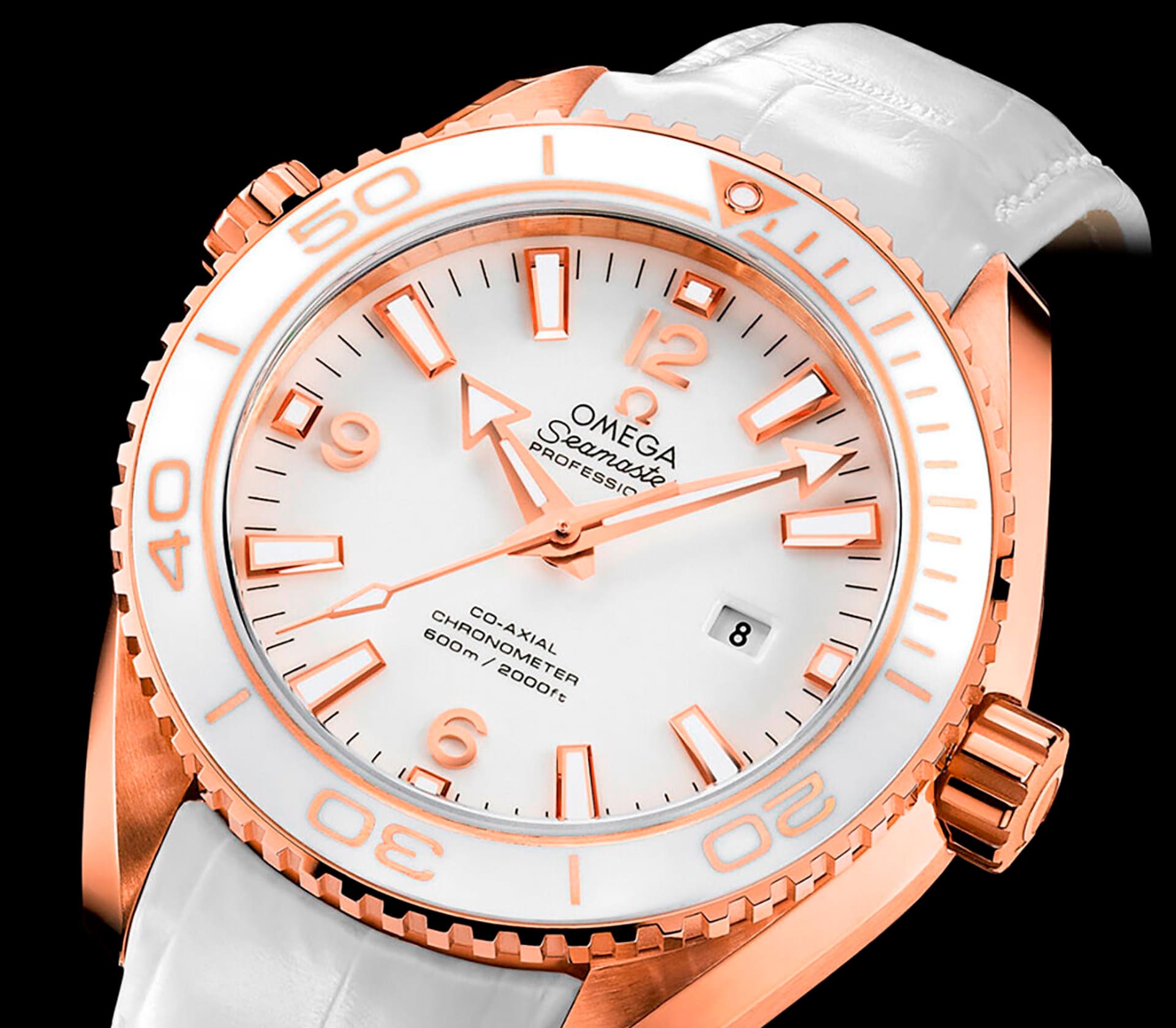 Pasha em Ouro Rosa 41mm