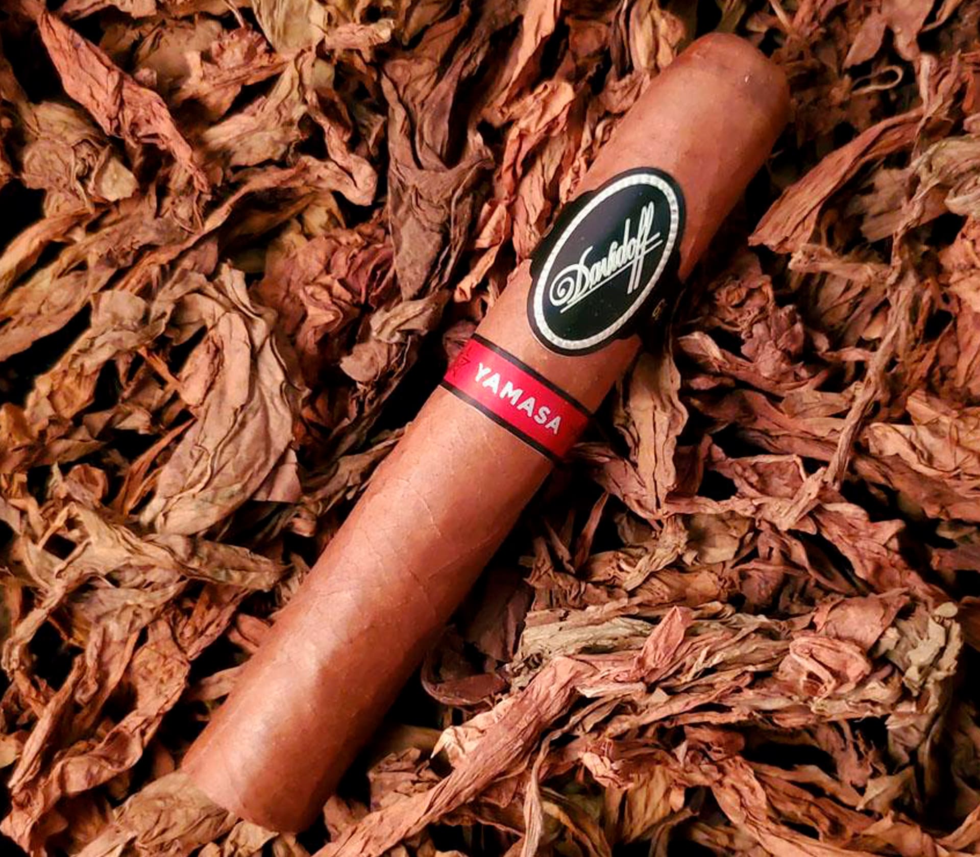 Yamasa Robusto - Unidade