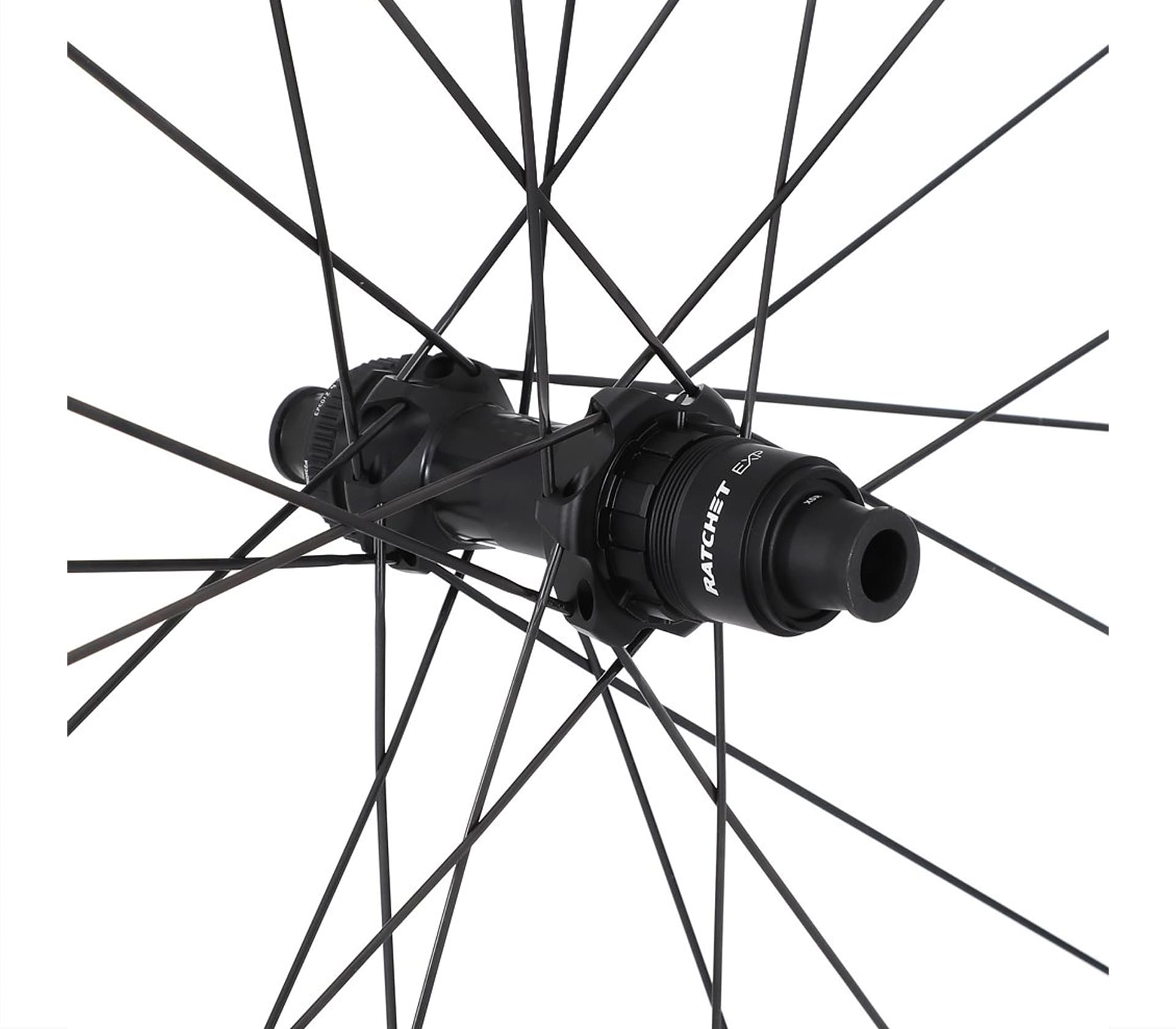 CarbonWorks Dual 5550