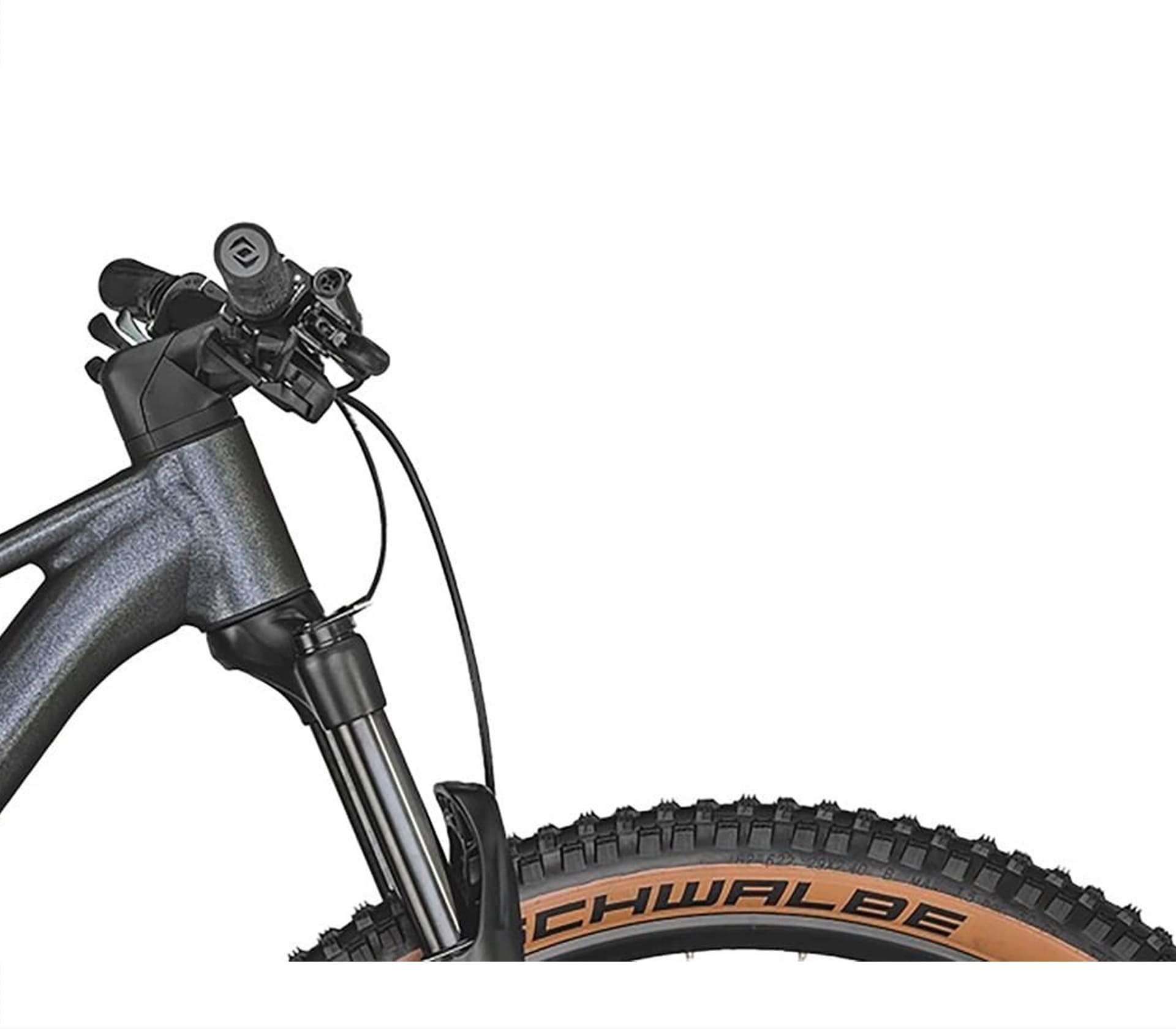 Grade Expert Carbon