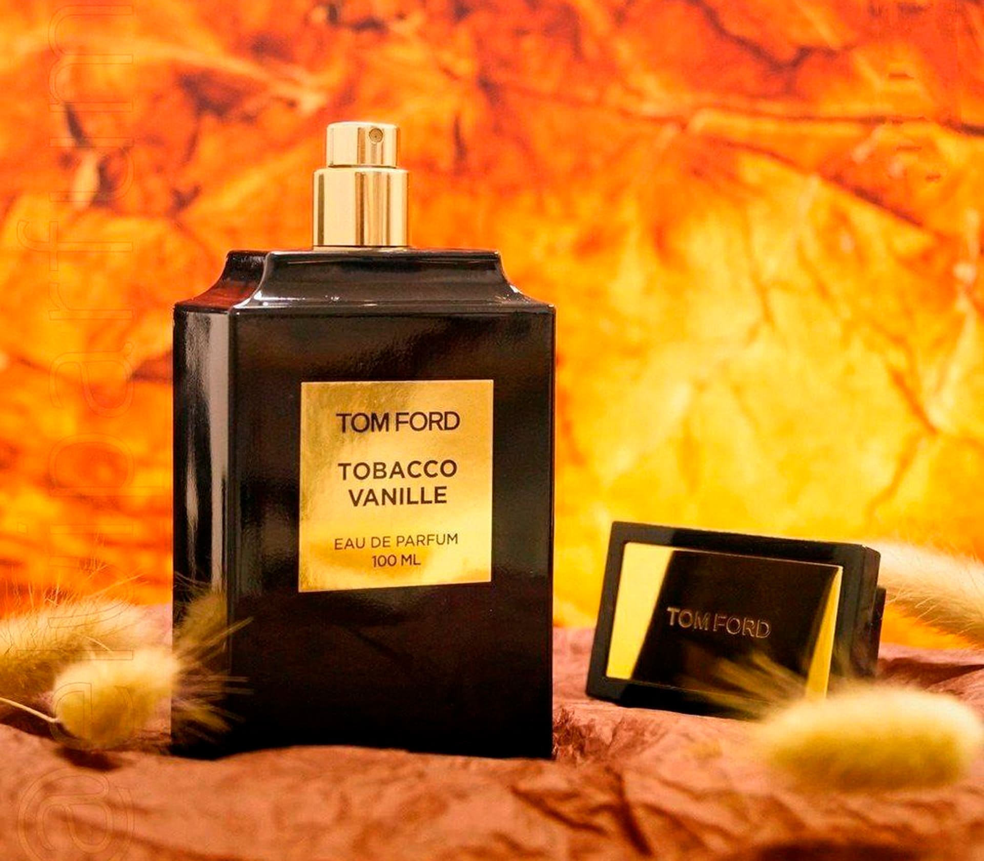 Tobacco Vanille - 100ml