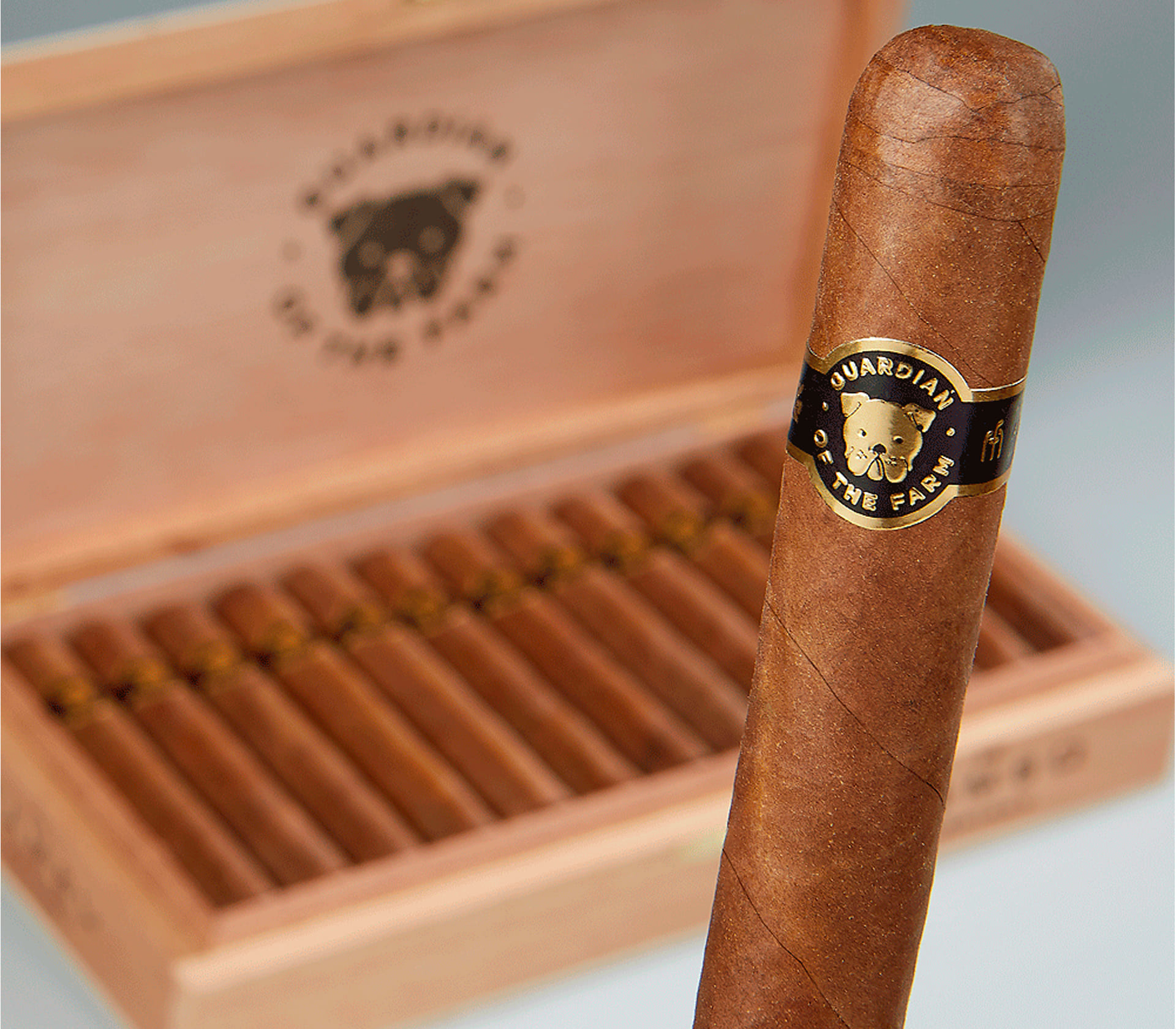 GOTF Robusto - Unidade