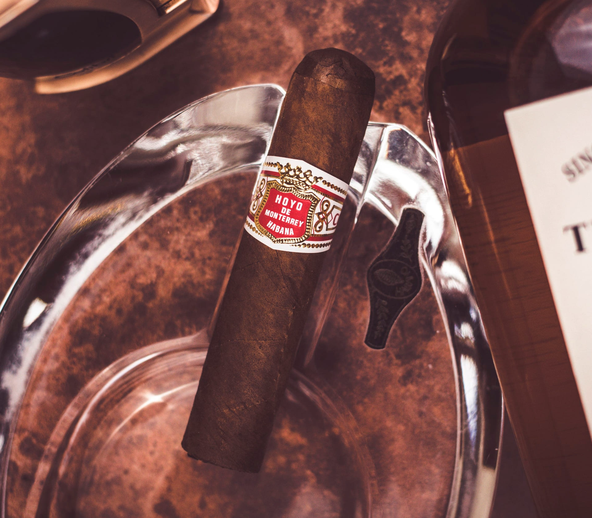 Hoyo Petit Robusto - Unidade