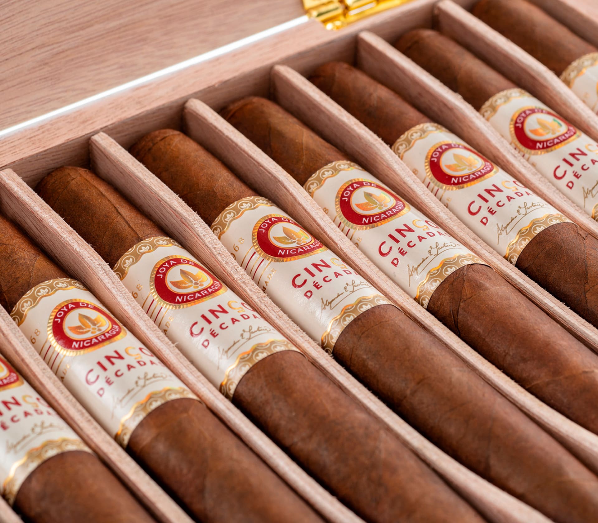 GOTF Robusto - Unidade