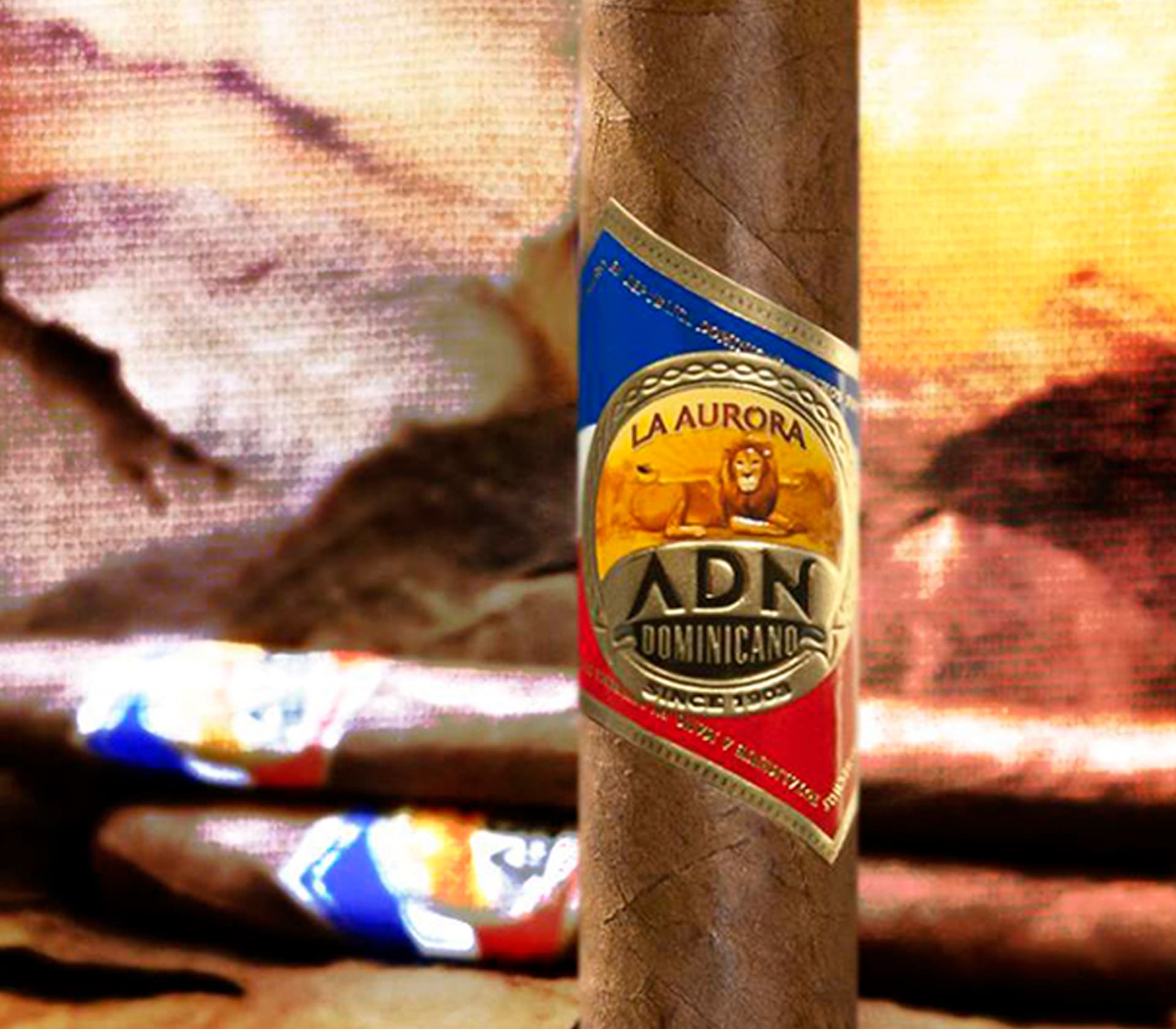 858 Flor Fina Maduro - Unidade