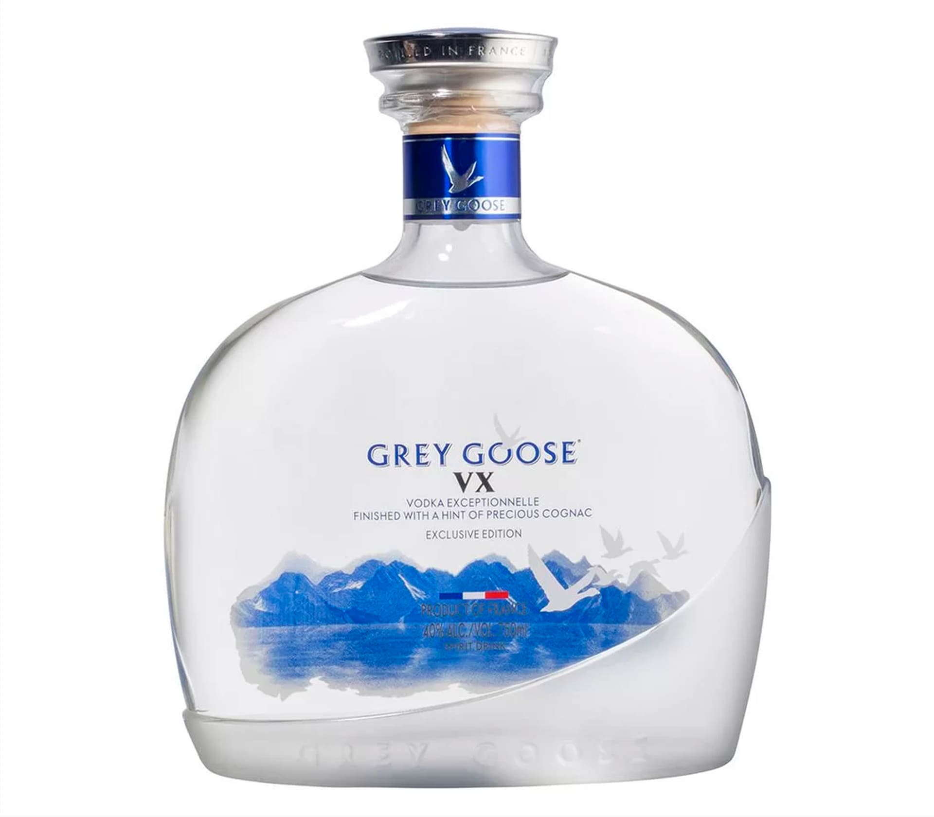 Goose VX