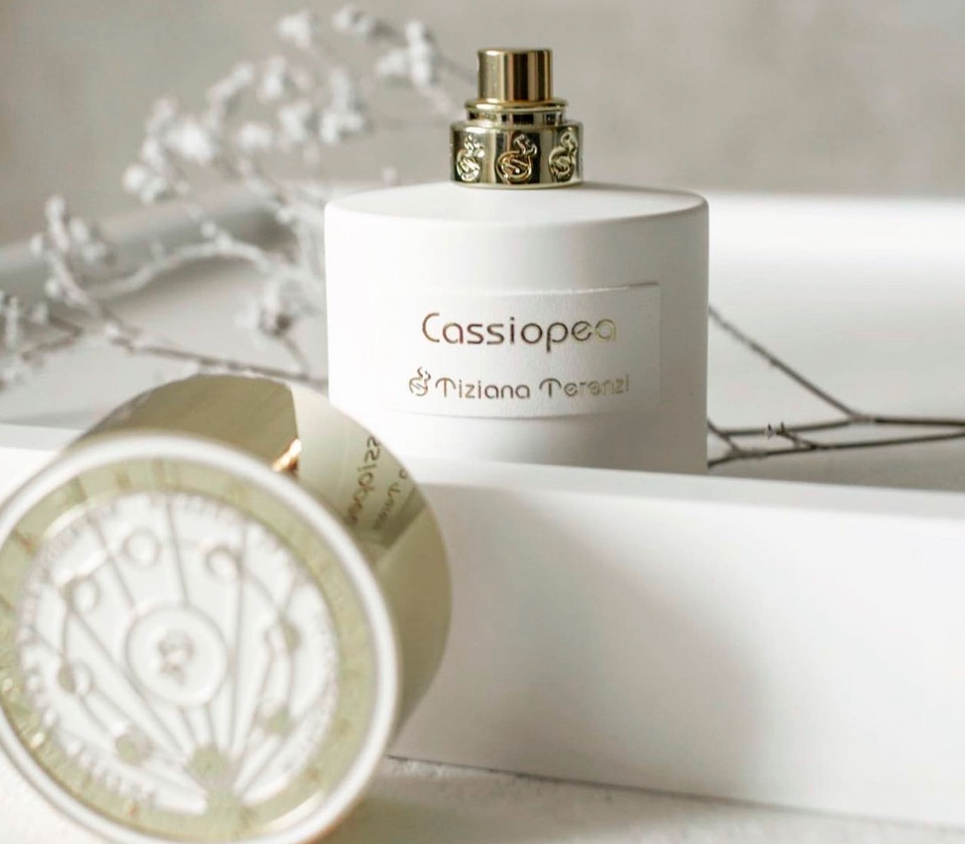 Cassiopea - 100ml