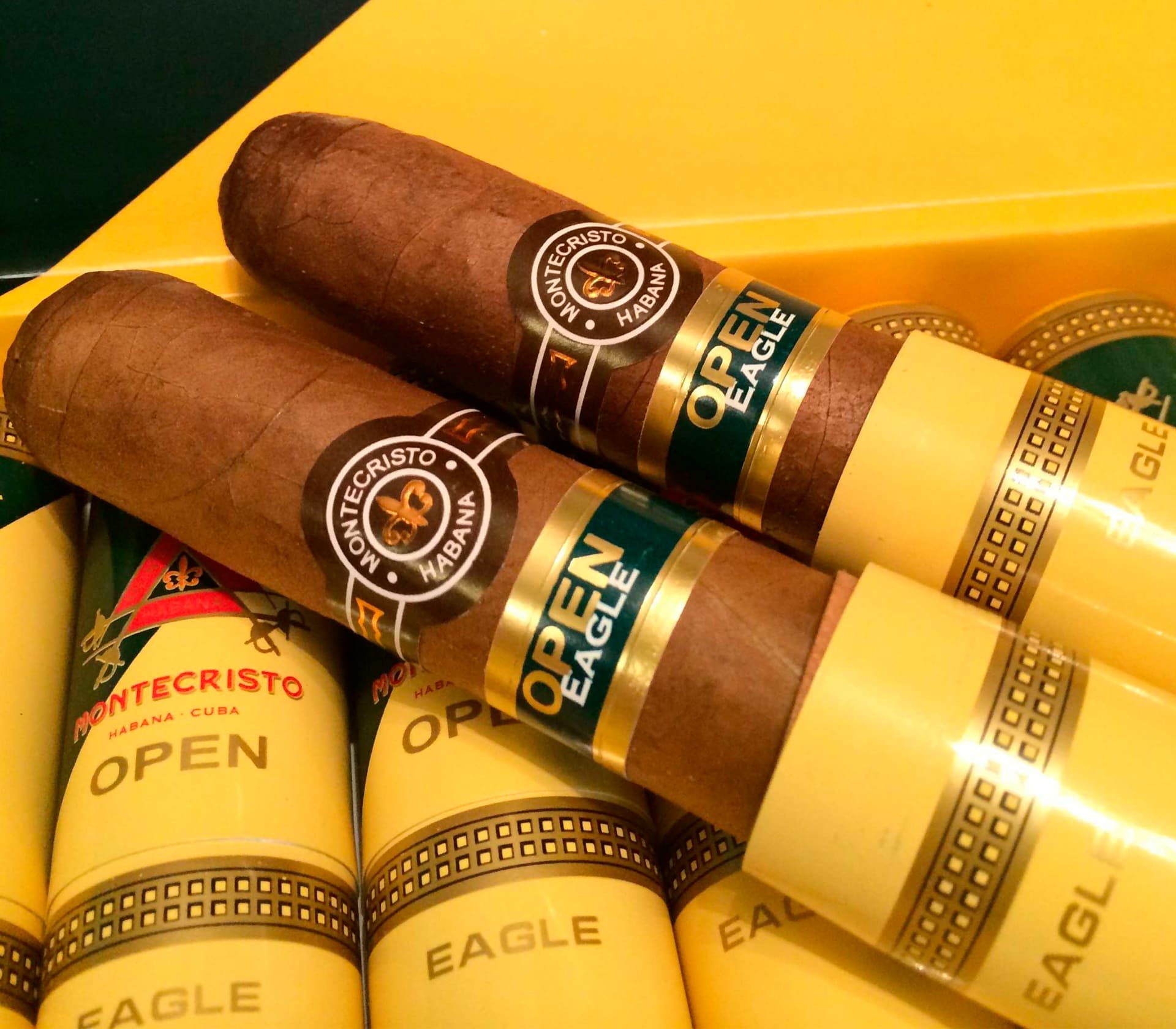 ADN Dominicano Robusto - Unidade