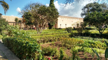 Visit Andalusian Gardens