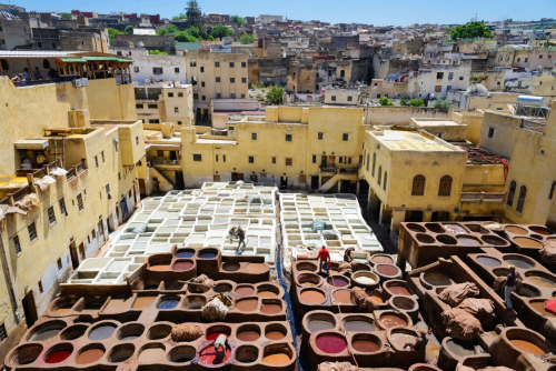 Visit Chouara Tannery