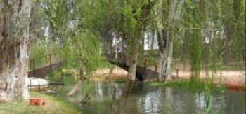 Visit Foret d'ain Chkef