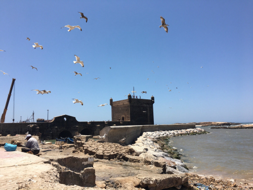Visit Medina of Essaouira
