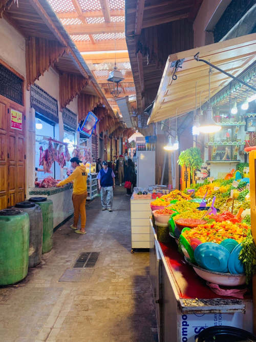 Visit Medina of Fez