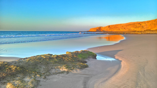 Visit National Park of Souss Massa