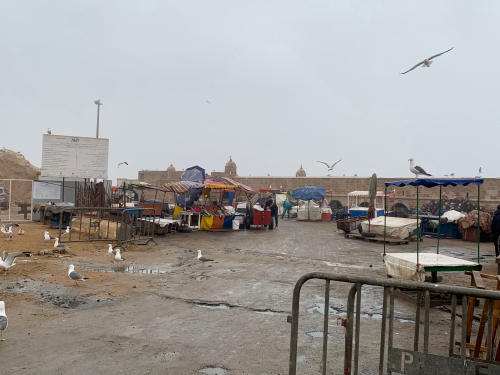 Visit Sqala du Port d' Essaouira