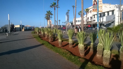 Visit The Corniche