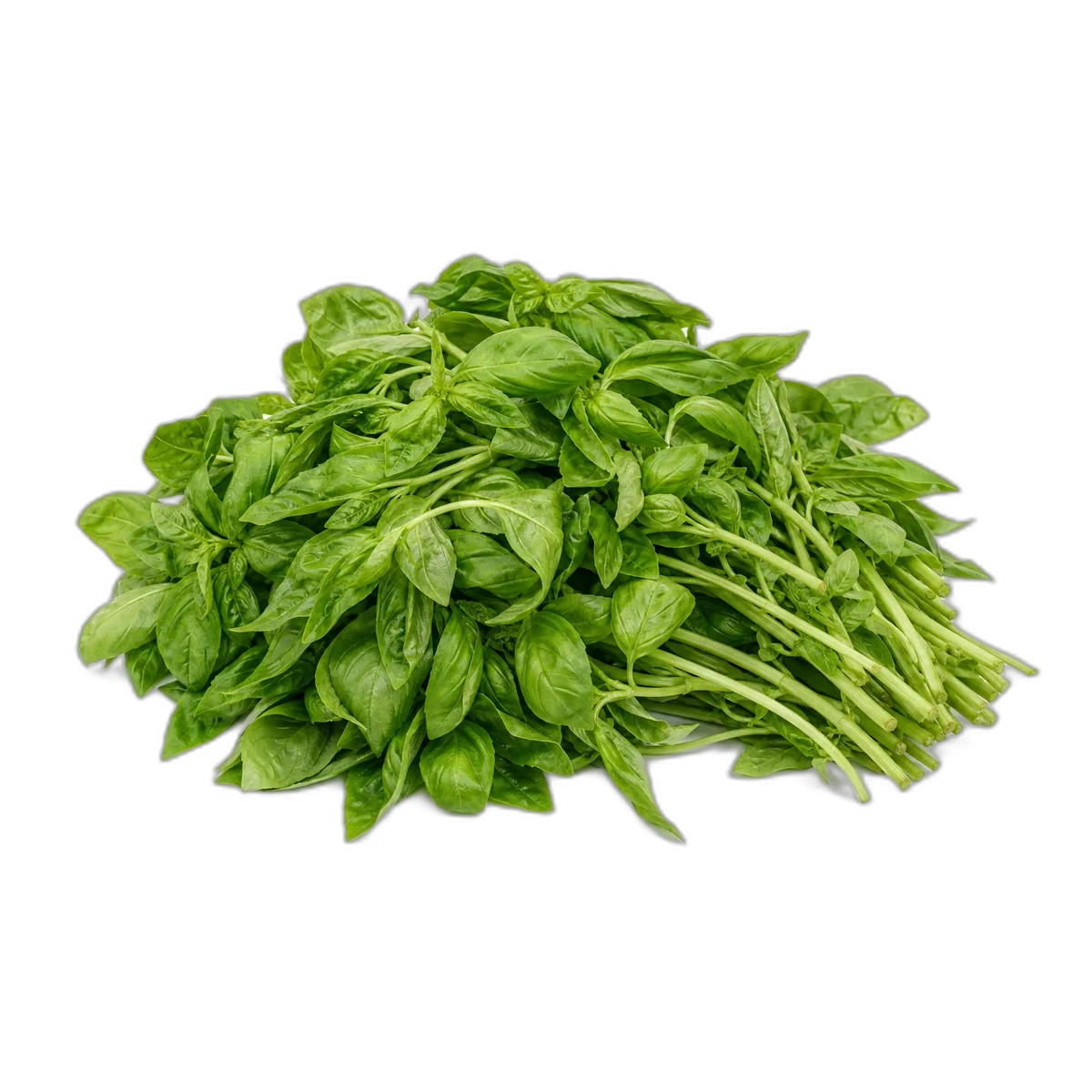 Bazylia cięta 1kg