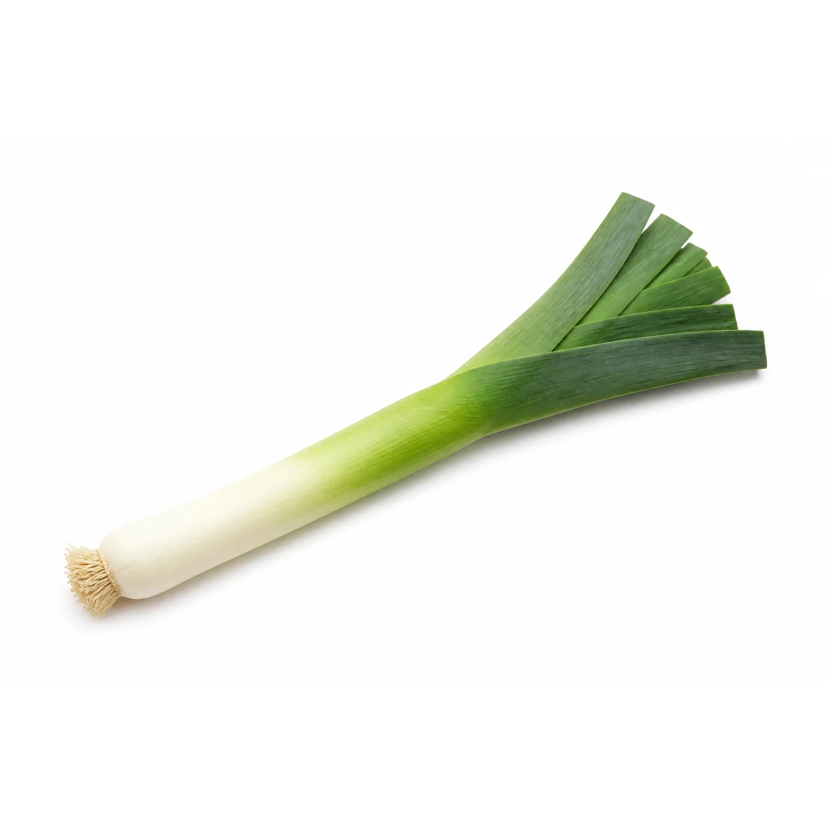 Pora