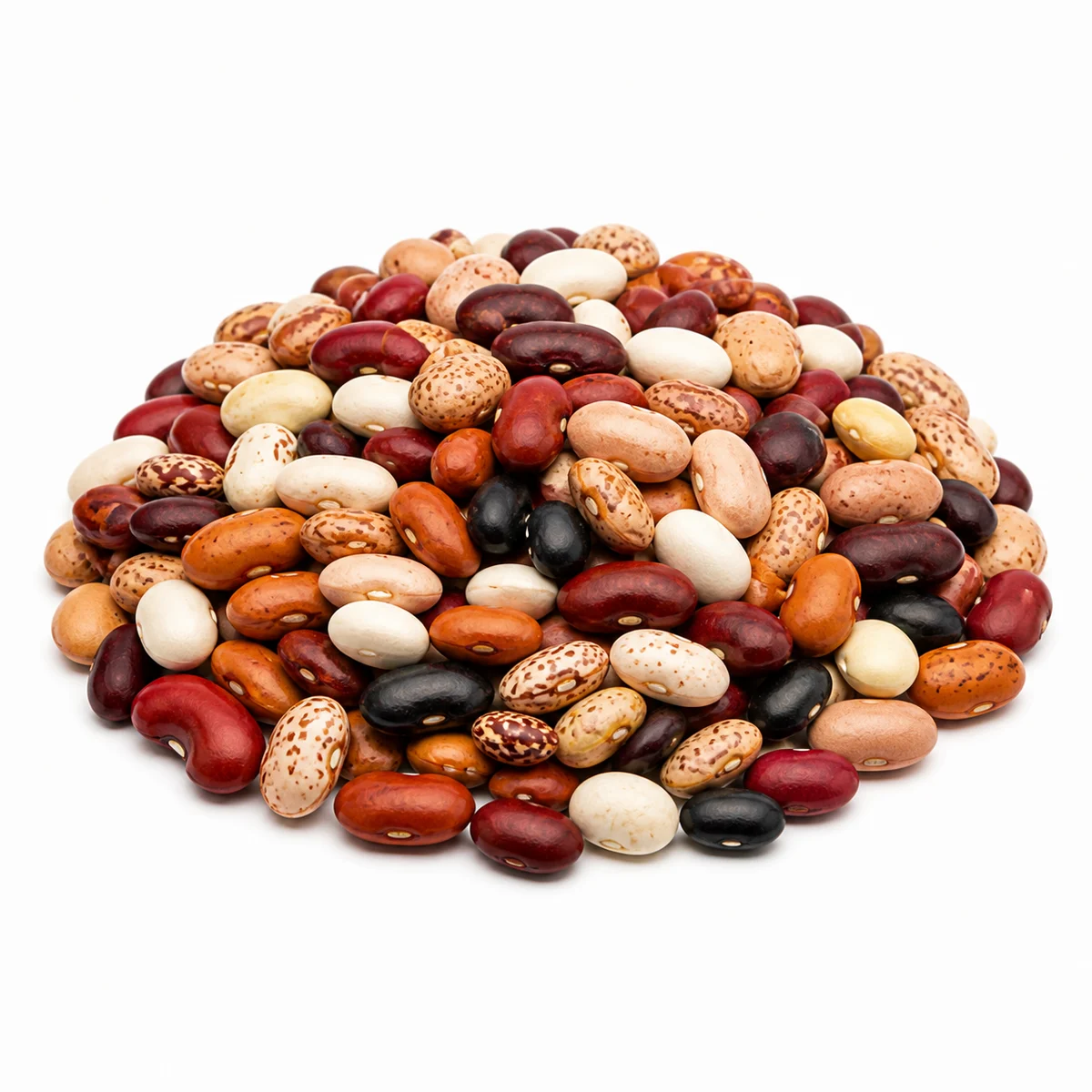FASOLA KOLOROWA  1KG