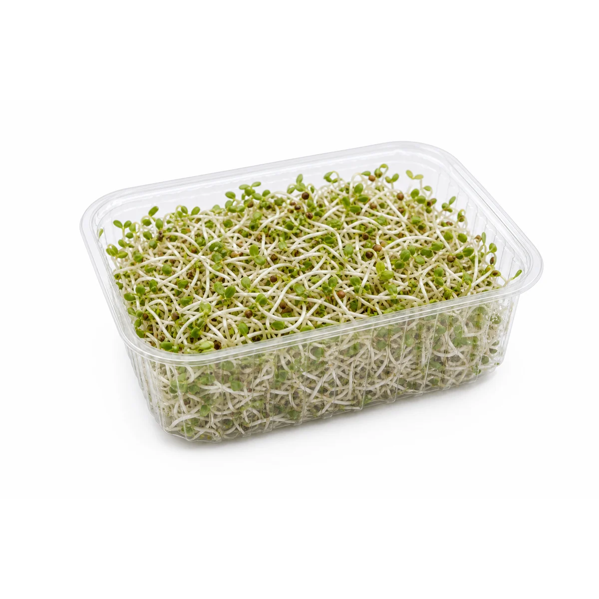 Kiełki 200-250g