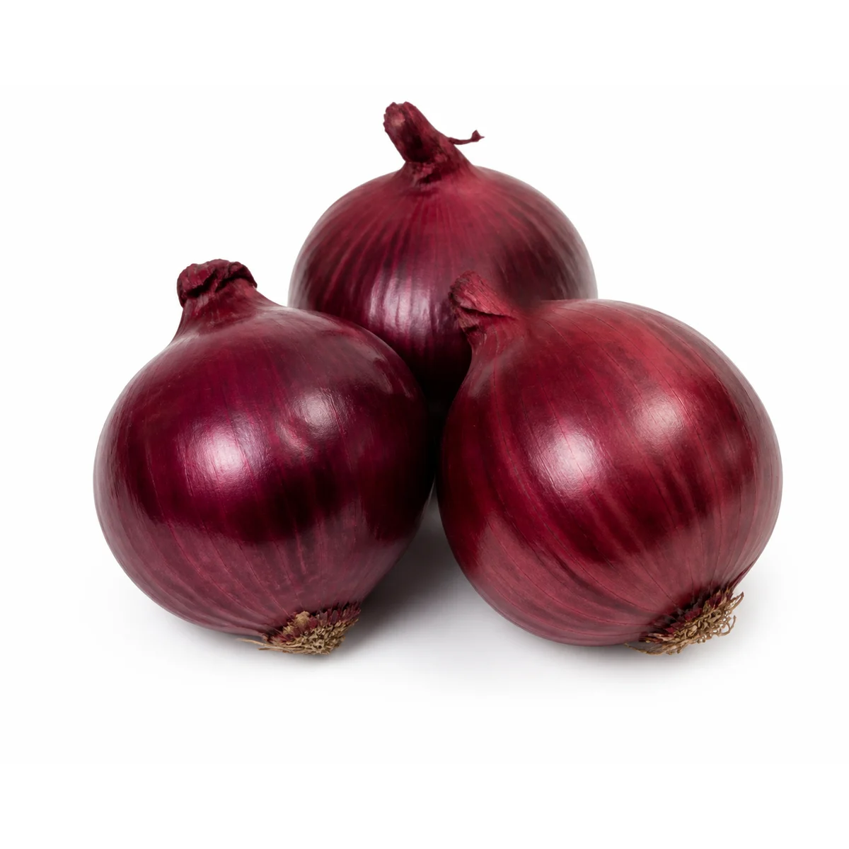 Cebula czerwona