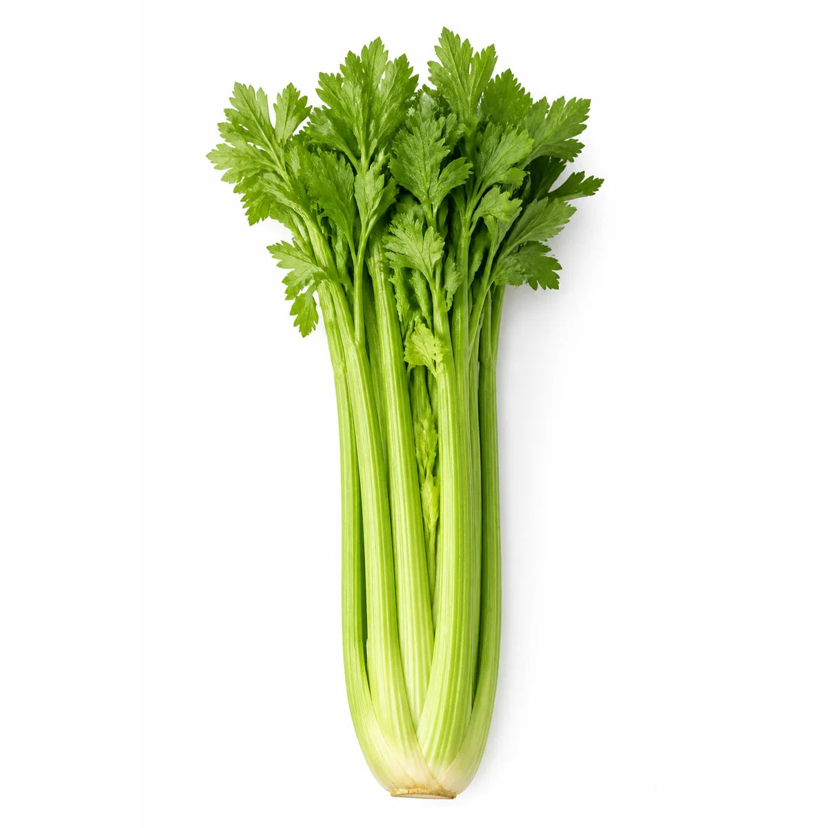 Seler naciowy