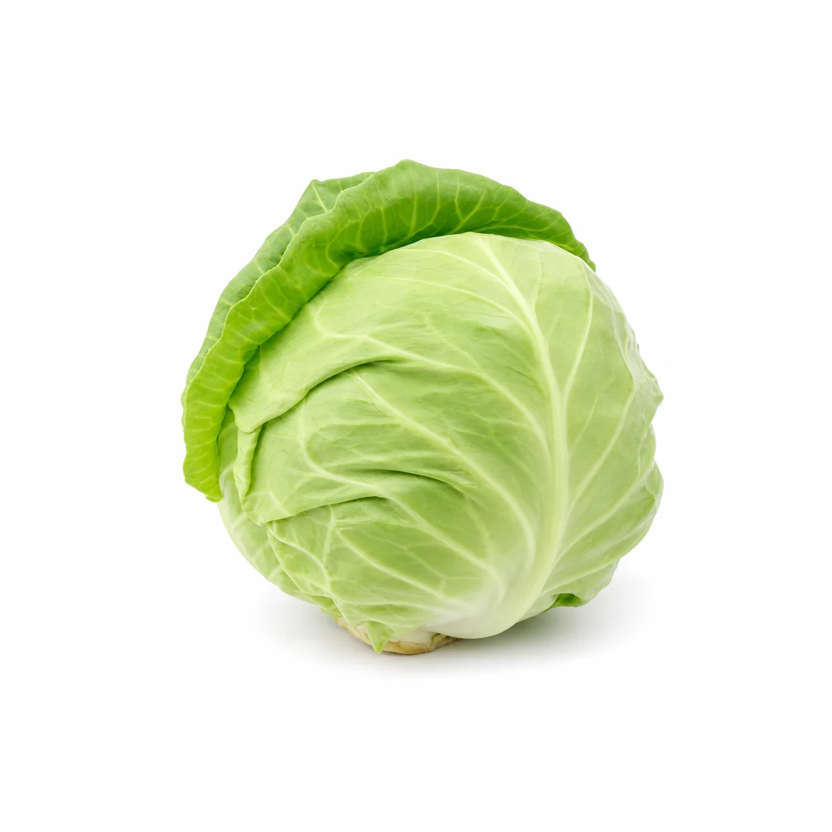 Kapusta Młoda