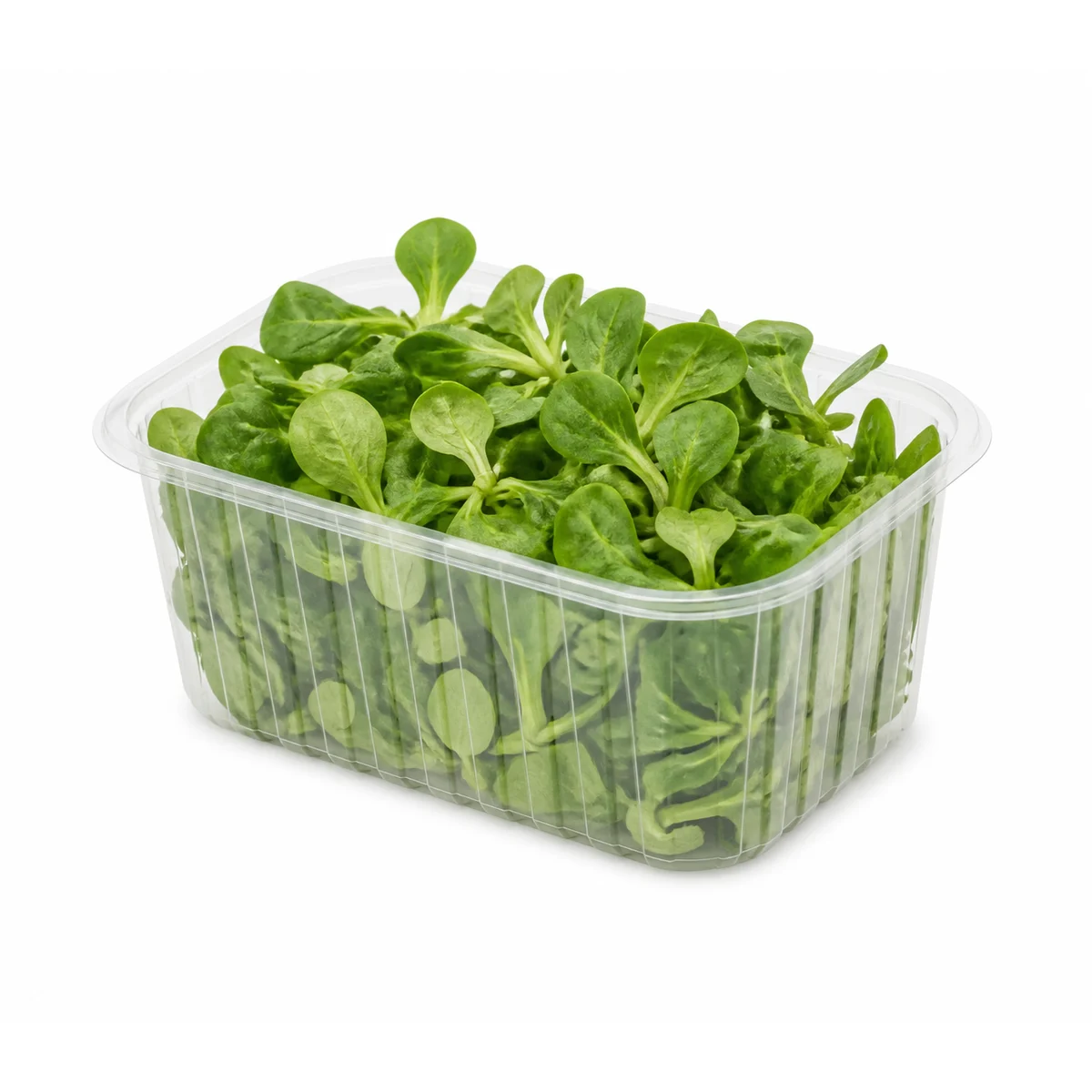 Roszponka 100g