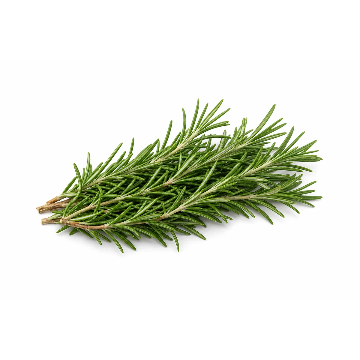 Rozmaryn Cięty 100g