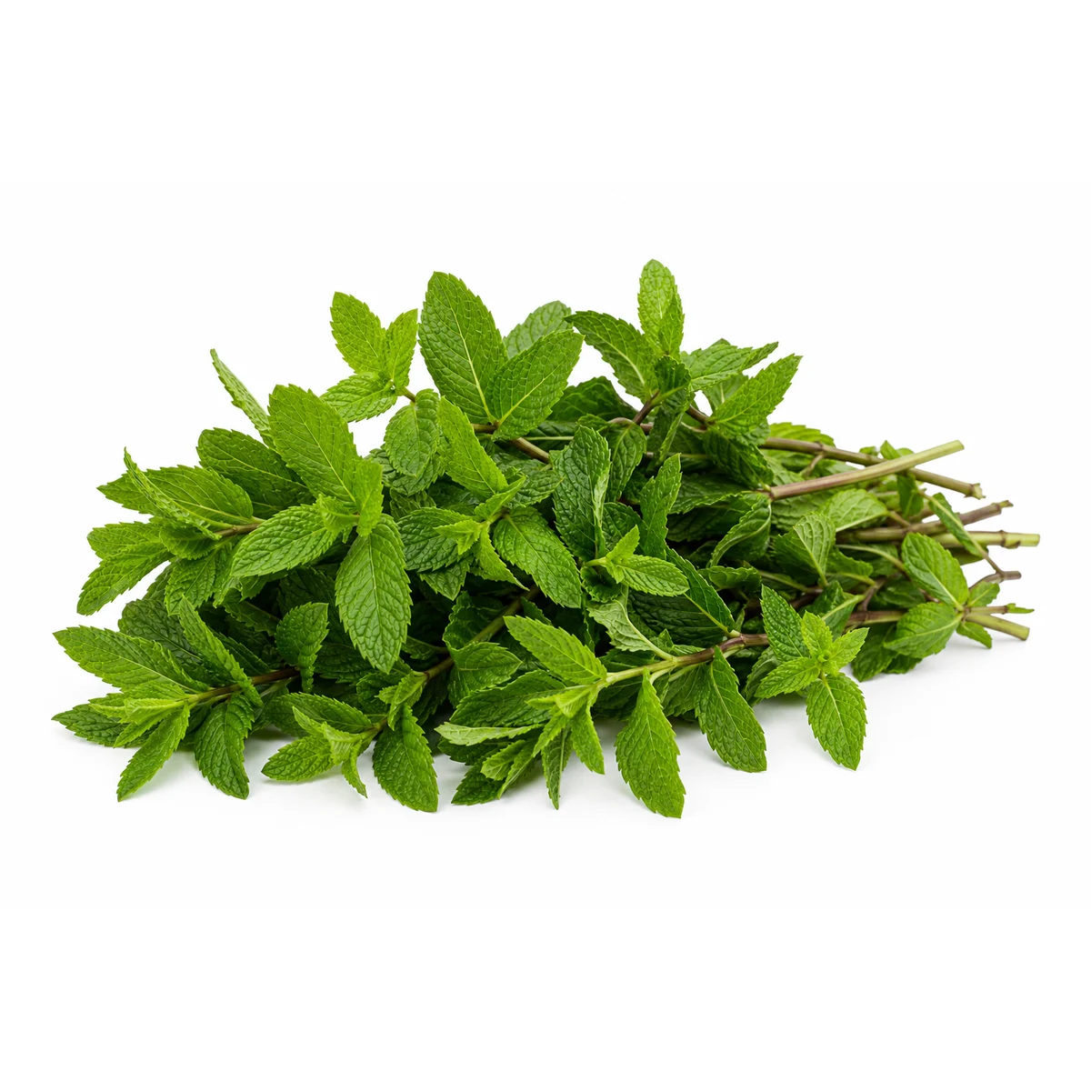 Mięta cięta 100g