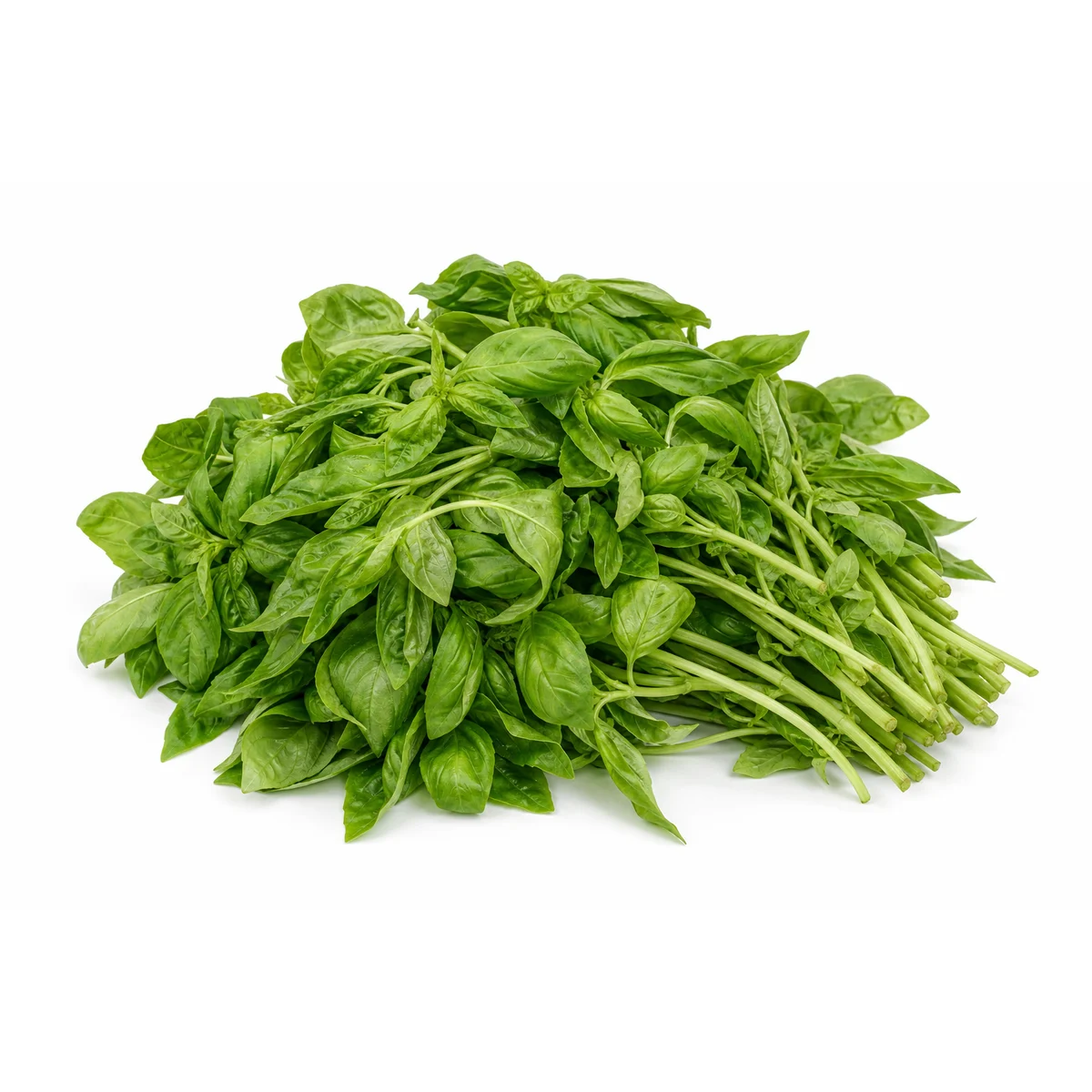 Bazylia cięta 1kg